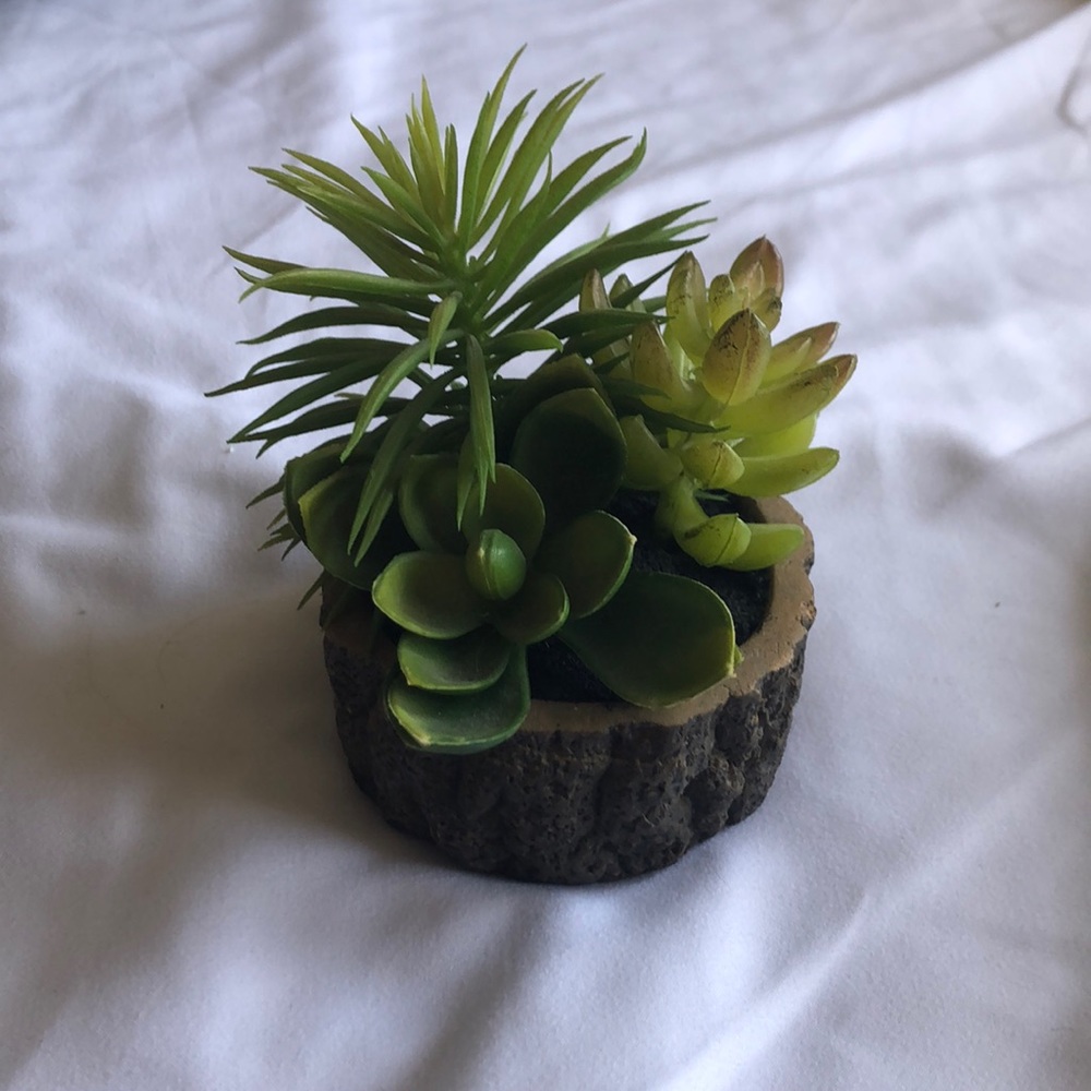 Faux Succulent Decor